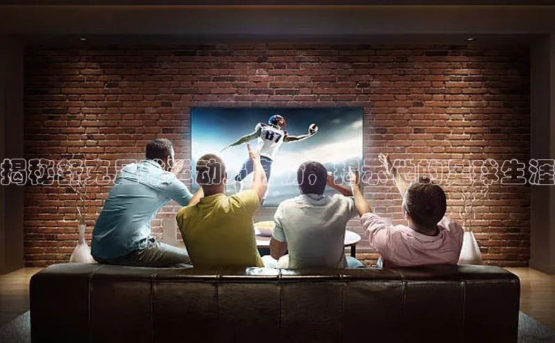 恒行在线官网登录入口百度游戏揭秘舒克足球运动员身份，揭示他的足球生涯