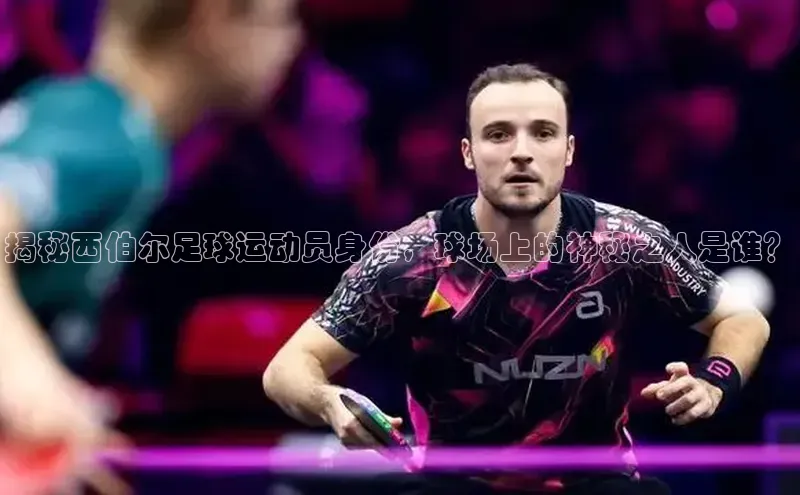 恒行6娱乐登录网页颐驰 06揭秘西伯尔足球运动员身份，球场上的神秘之人是谁？