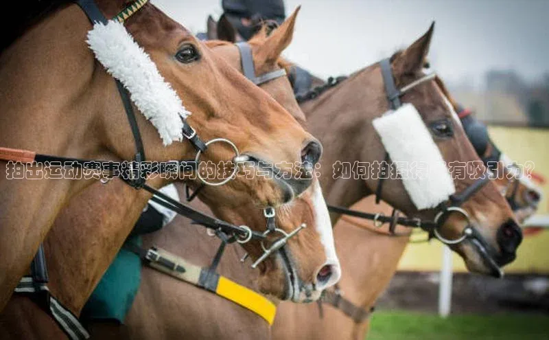 恒行6登录入口注册引力传媒拍出运动赛事精彩瞬间的技巧与方法：如何拍摄得更有吸引力？