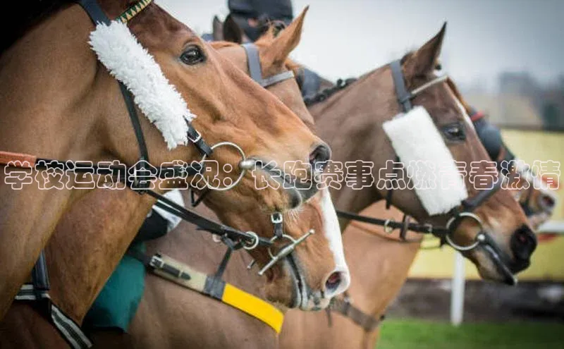 学校运动会盛况：长跑赛事点燃青春激情