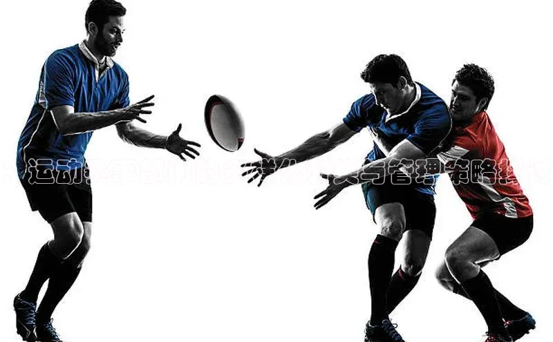 ：运动赛事部门的多样化分类与管理策略探讨