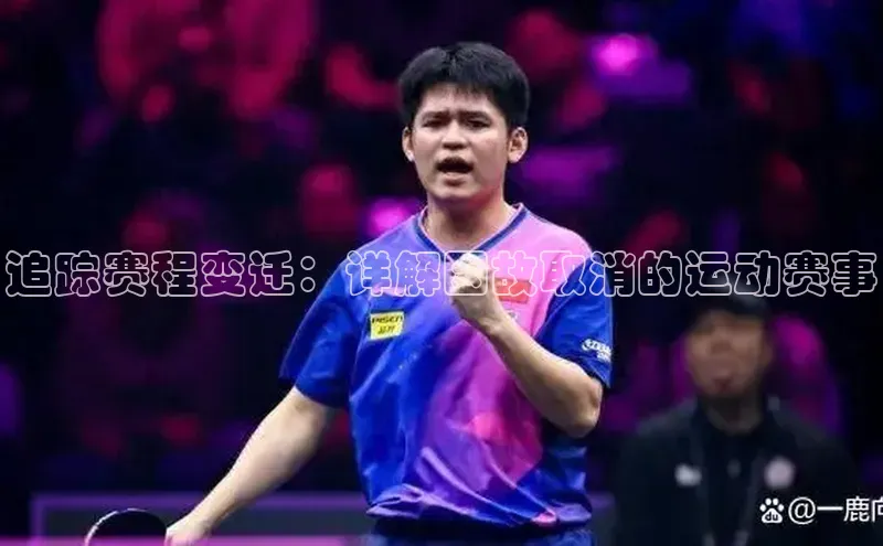 追踪赛程变迁：详解因故取消的运动赛事