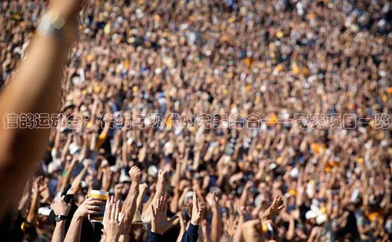 信鸽运动会：传统与现代的完美结合——竞赛项目一览