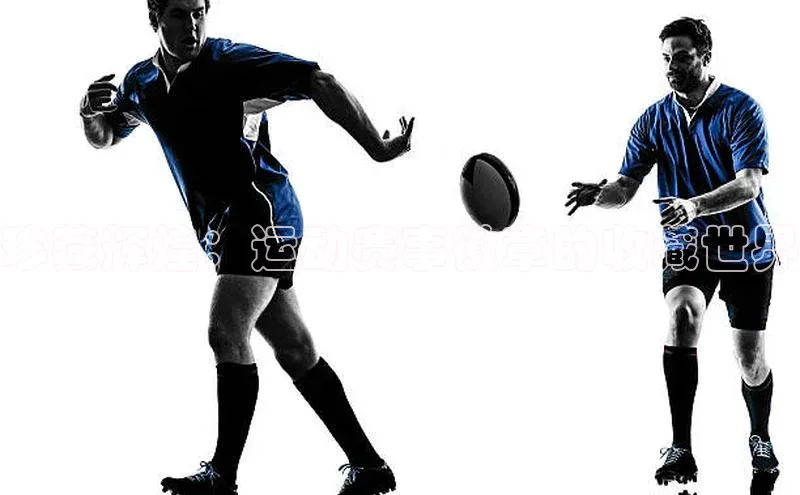 珍藏辉煌：运动赛事徽章的收藏世界