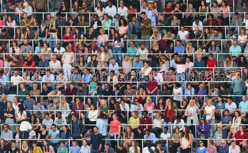 湖北运动会2024：展望与筹备的精彩篇章