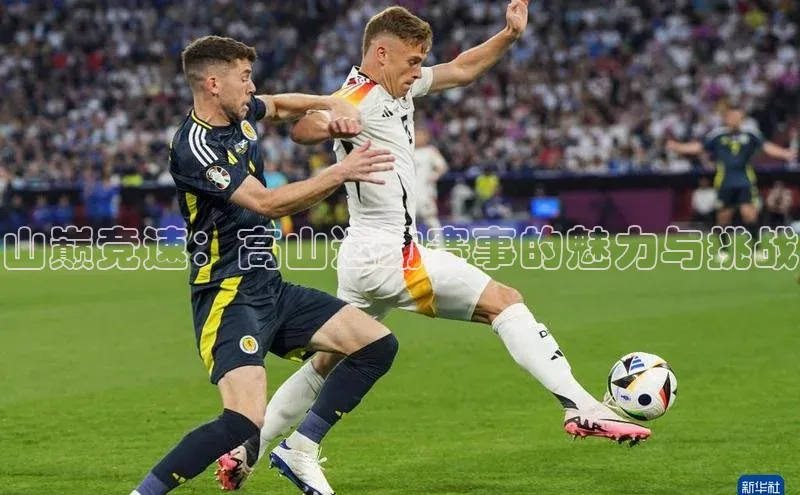 山巅竞速：高山运动赛事的魅力与挑战