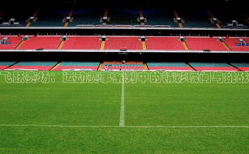 飞跃赛场：运动赛事系列中的精彩瞬间与挑战