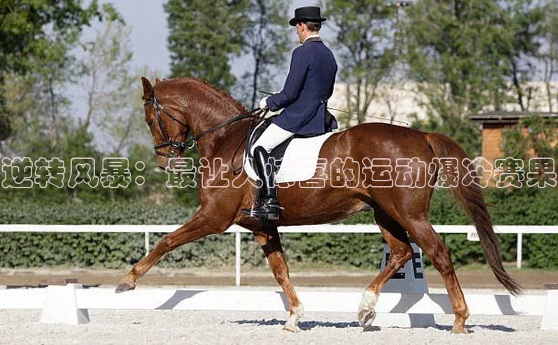 逆转风暴：最让人惊喜的运动爆冷赛果