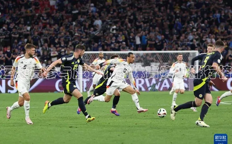 运动员参与度最低的体育赛事排行榜