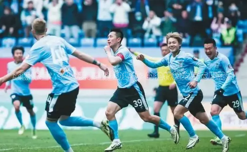 革新体验：<cba赛事级运动地板>的独特魅力与应用前景