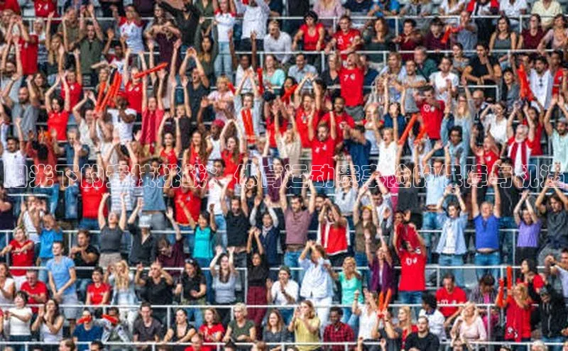 阳光下的竞技挑战：体育运动赛事险的保障与机遇