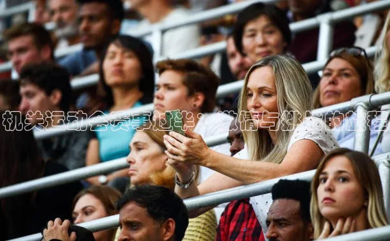 机关运动会赛事过半：激情与挑战的旅程