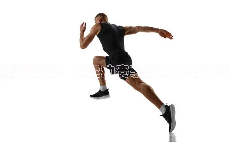 狂奔激情：犬运动赛事的魅力与挑战